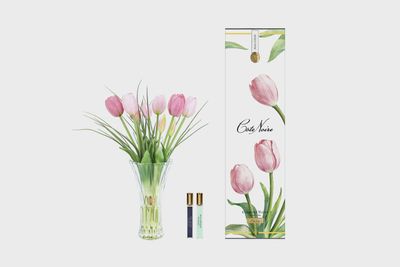Charente Tulips - Pink