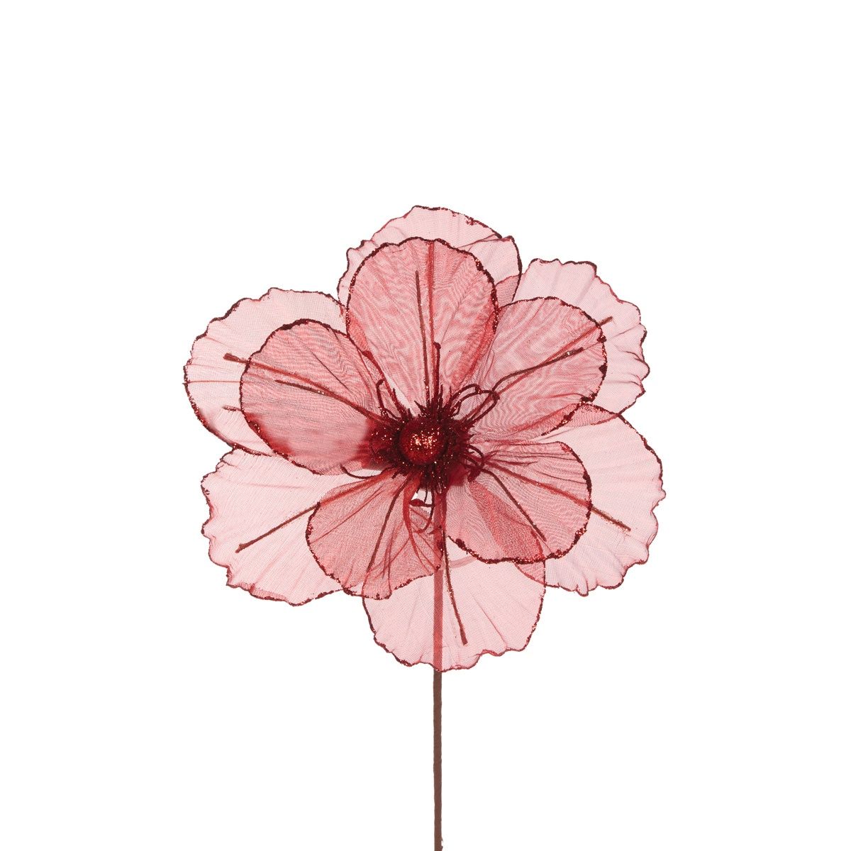 Sheer Red Camellia