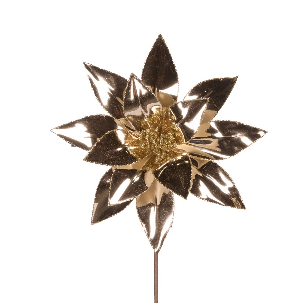 High Shine Champagne Poinsettia
