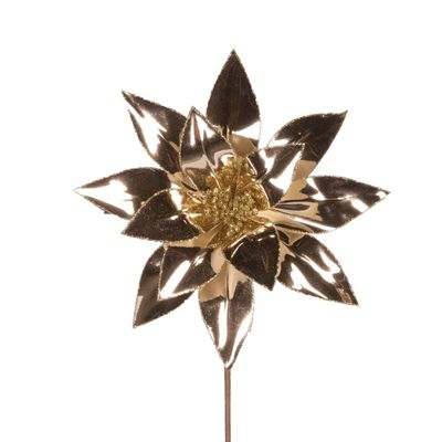 High Shine Champagne Poinsettia