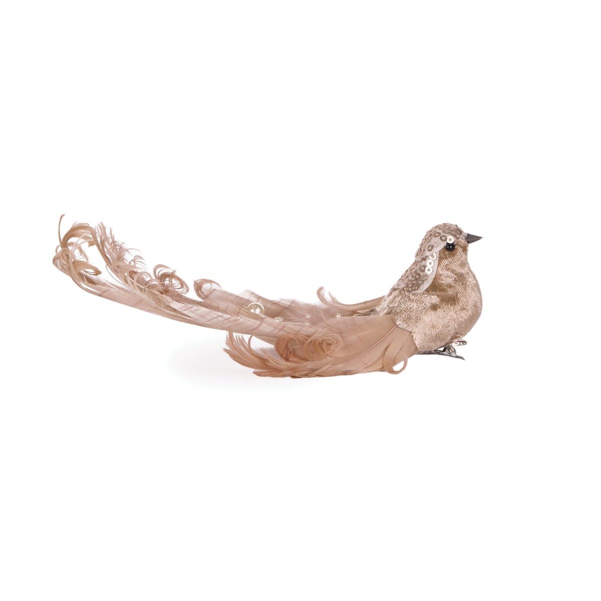 Neutral Adorned Bird