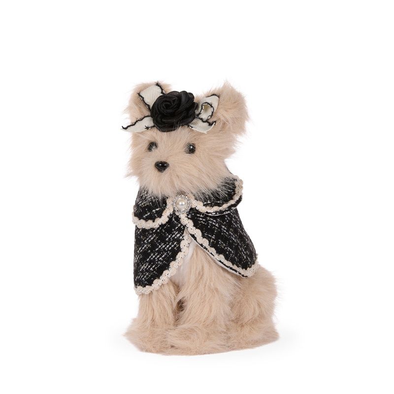 Parisian Shih Tzu With Bow