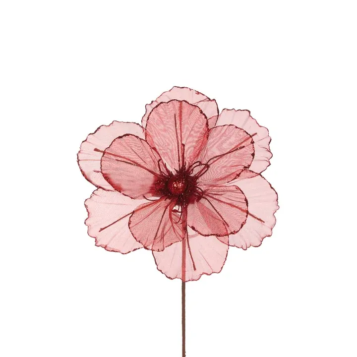 Sheer Red Camellia