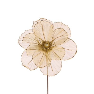 Sheer Gold Camellia