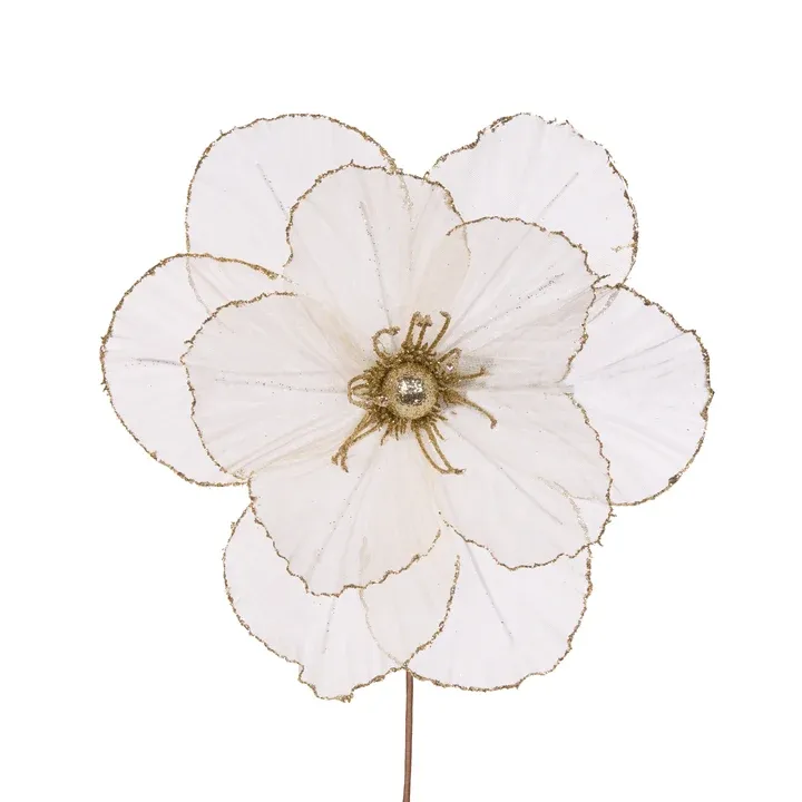 Sheer Ivory Camellia