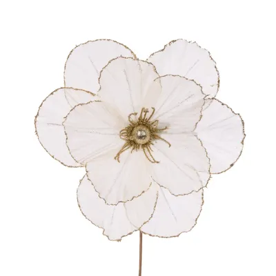 Sheer Ivory Camellia