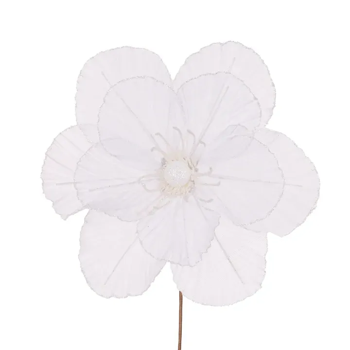 Sheer White Camellia