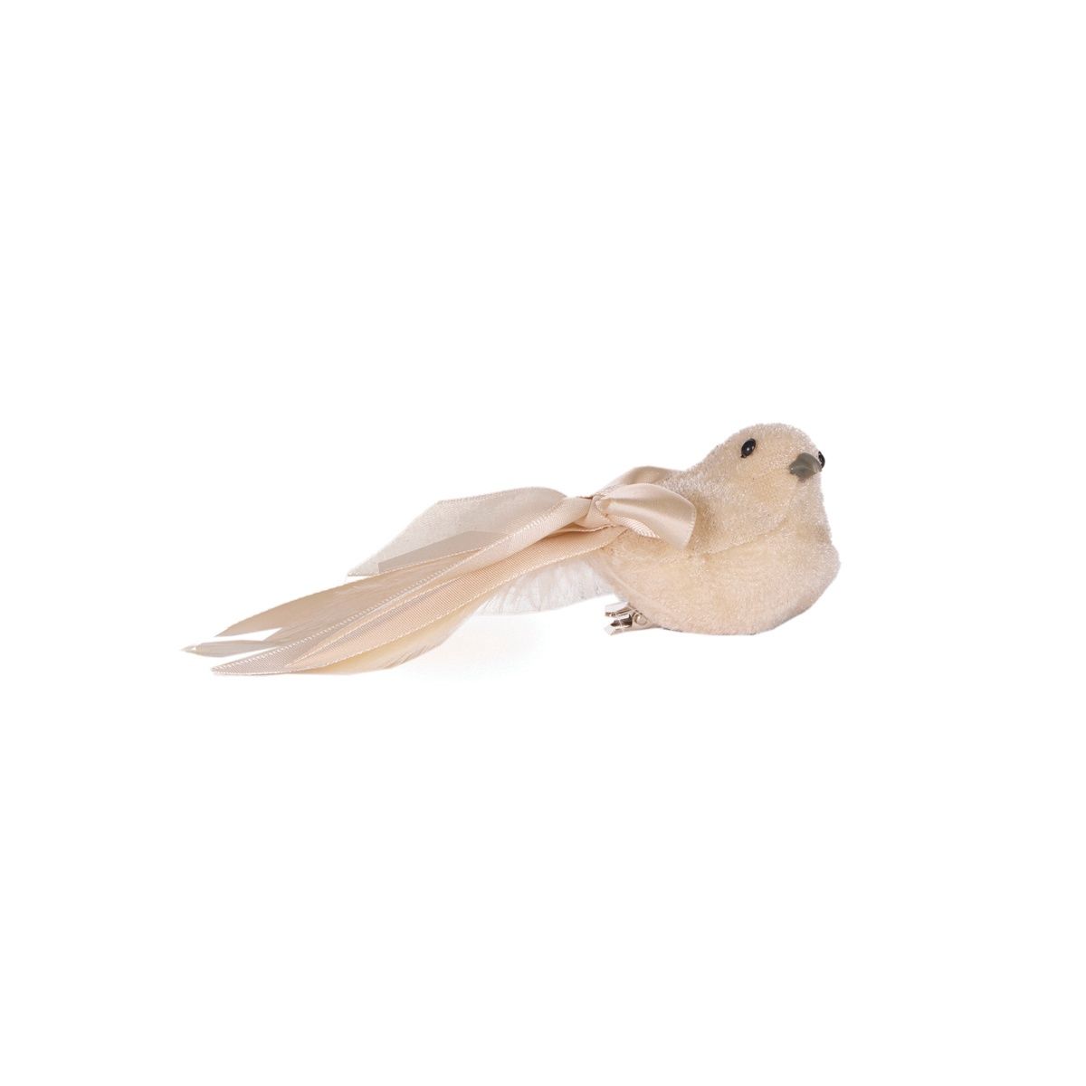Ivory Ribbon Tailed Bird