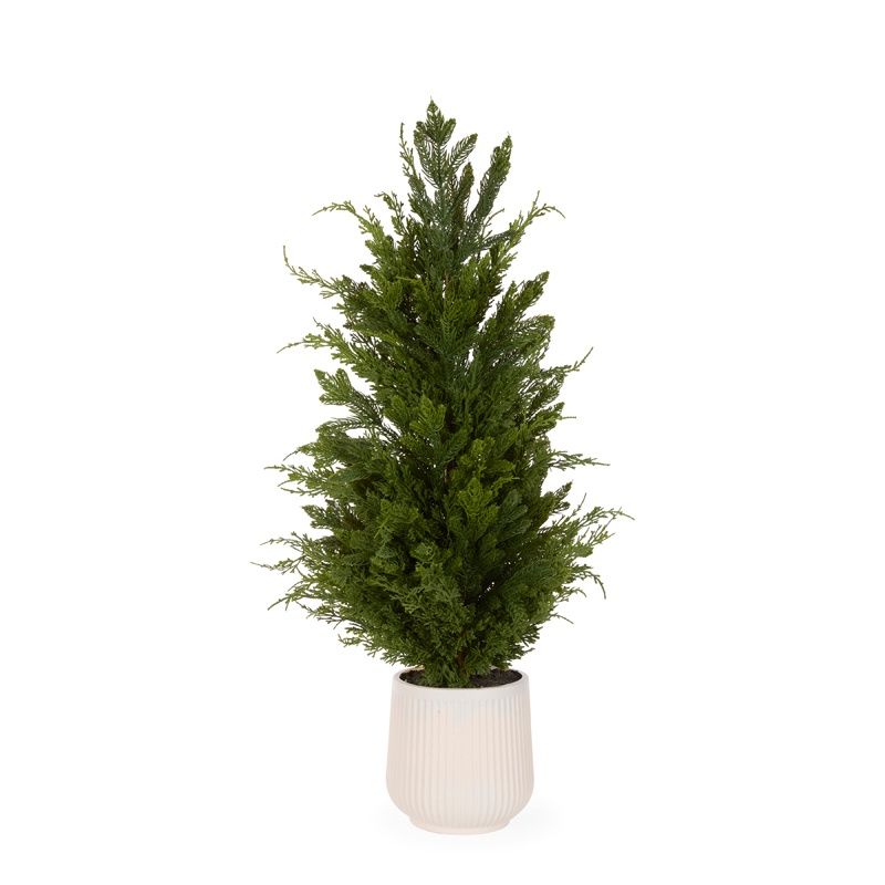 90cm Potted Spruce Tree