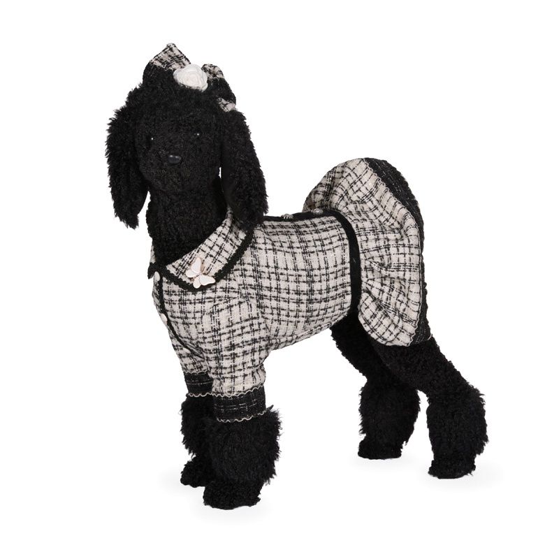 Parisian Poodle In Dress
