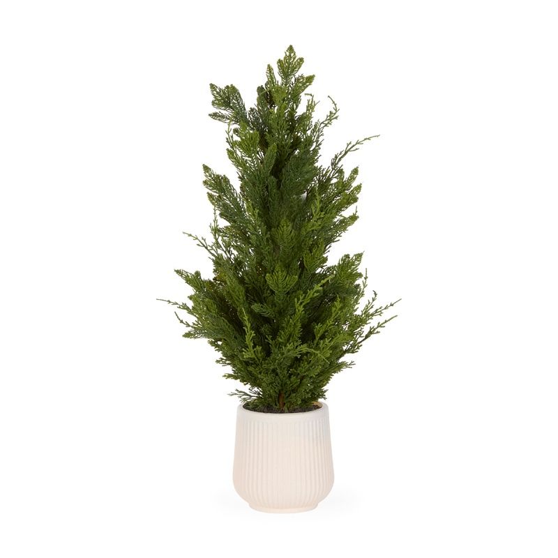 80cm Potted Spruce Tree
