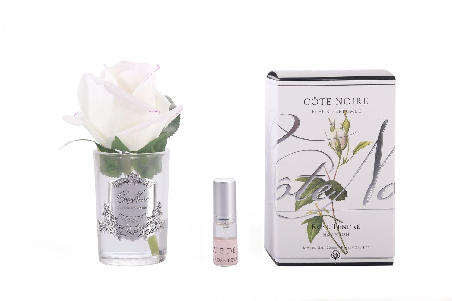 Rose Bud in Clear Blush - Pink Box / Gold