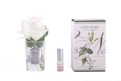 Rose Bud in Clear Blush - Pink Box / Gold