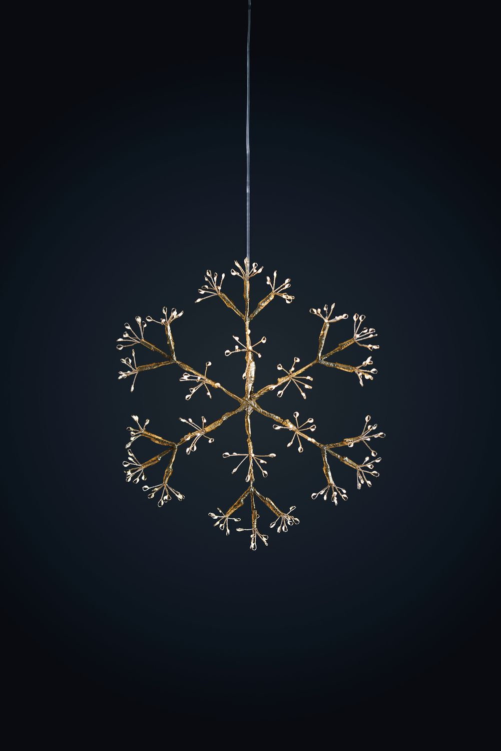 Snowflake Champagne Hanging Light - Mains