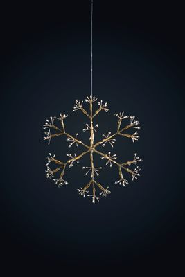 Snowflake Champagne Hanging Light - Mains