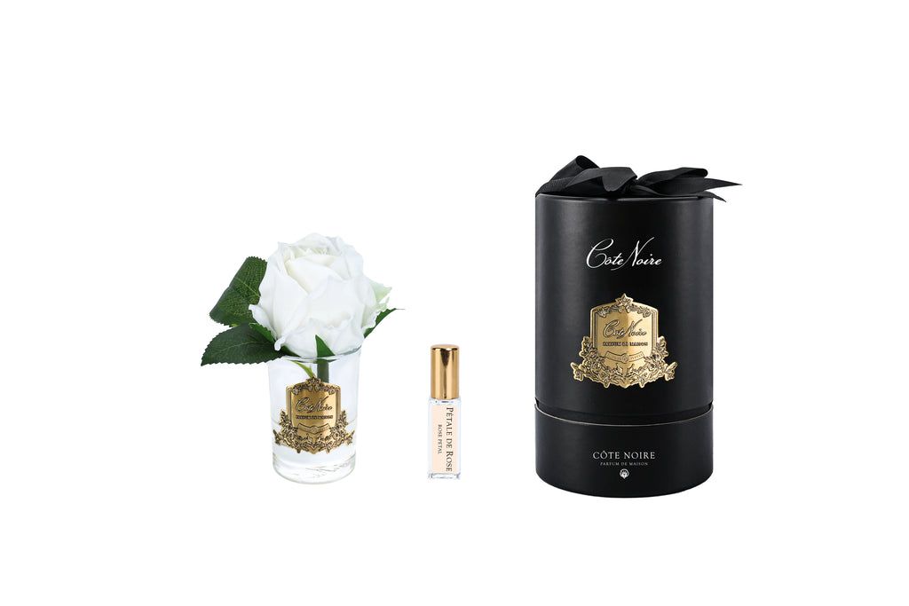 Rose Bud in Clear White - Black &amp; Gold Box