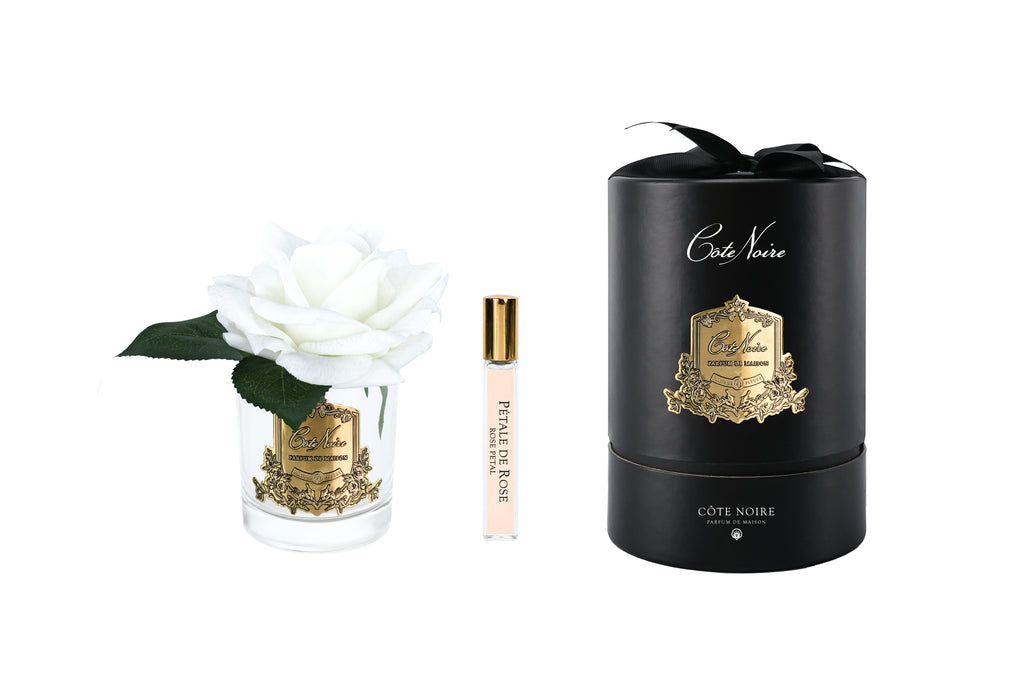 French Rose in Clear White - Black &amp; Gold Box