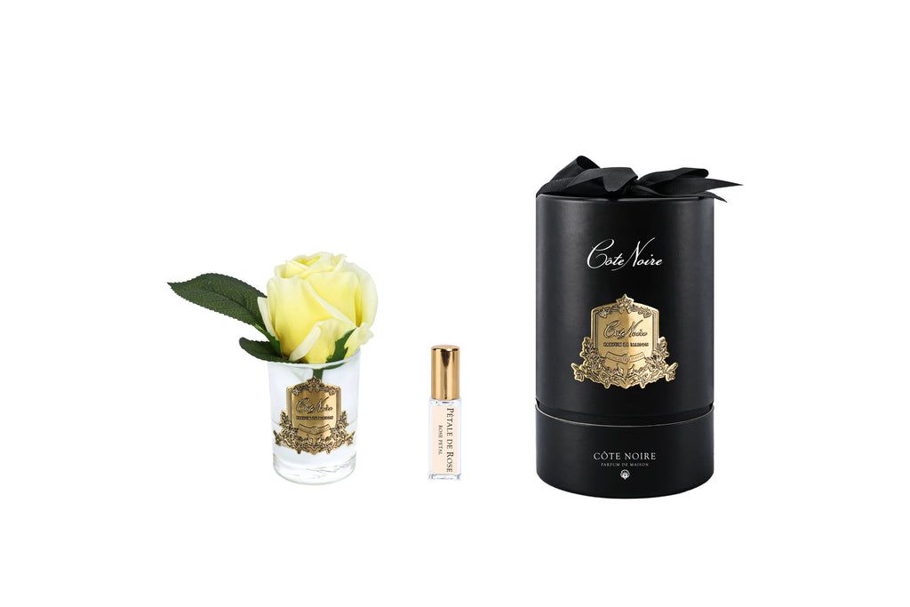 Rose Bud in Clear Yellow - Black &amp; Gold Box