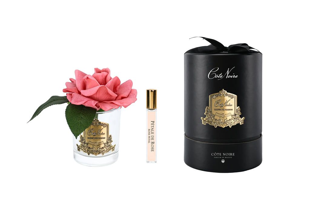 French Rose in Clear Peach - Black &amp; Gold Box