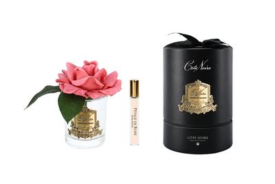 French Rose in Clear Peach - Black &amp; Gold Box