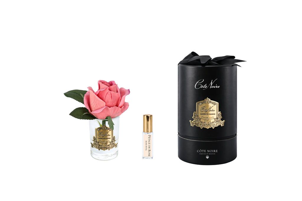 Rose Bud in Clear Peach - Black &amp; Gold Box