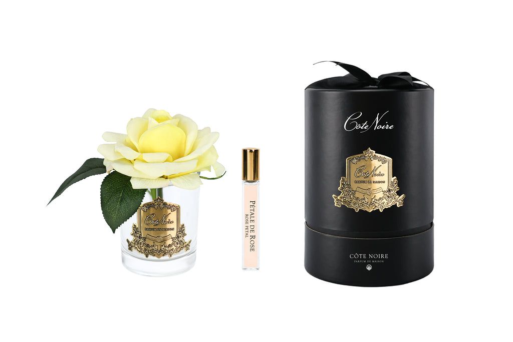 French Rose in Clear Yellow - Black &amp; Gold Box