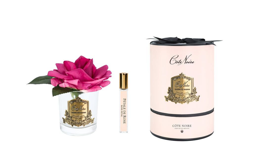 French Rose in Clear Magenta - Pink &amp; Gold Box