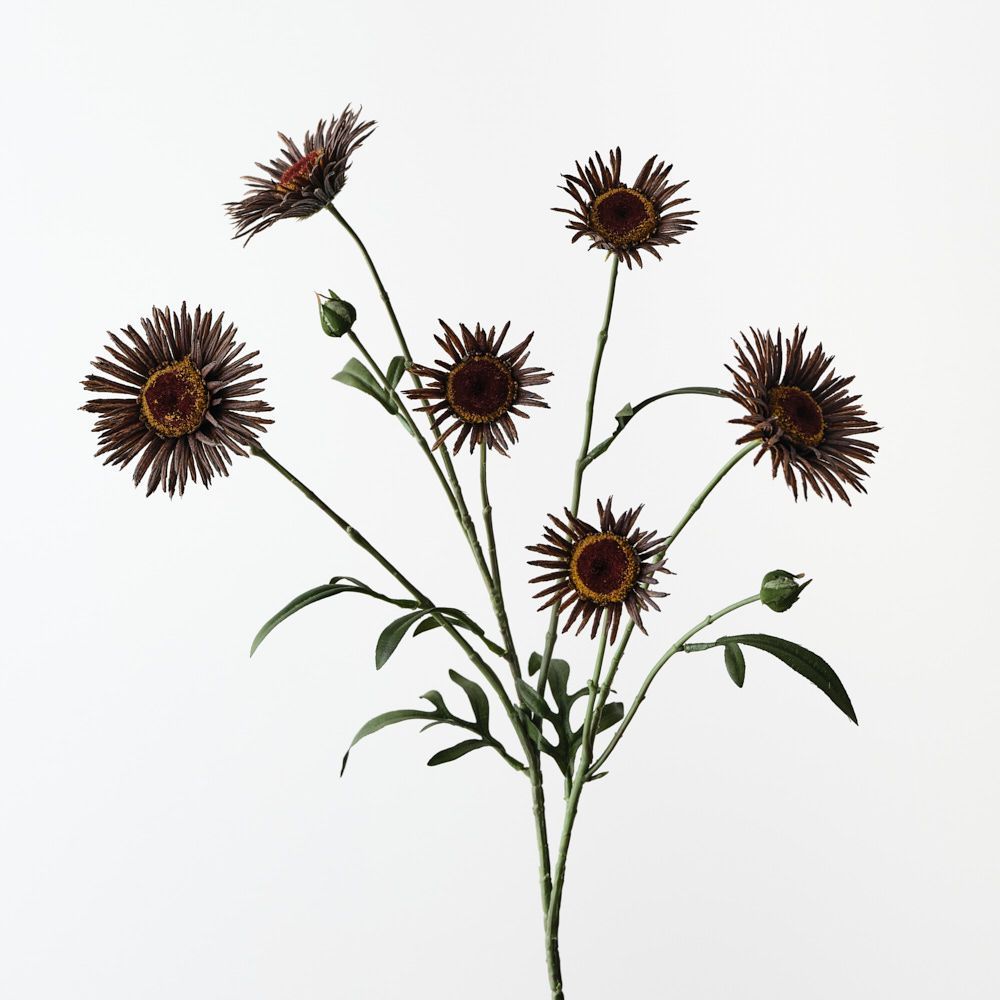 Daisy Spray Chocolate Brown 73cm