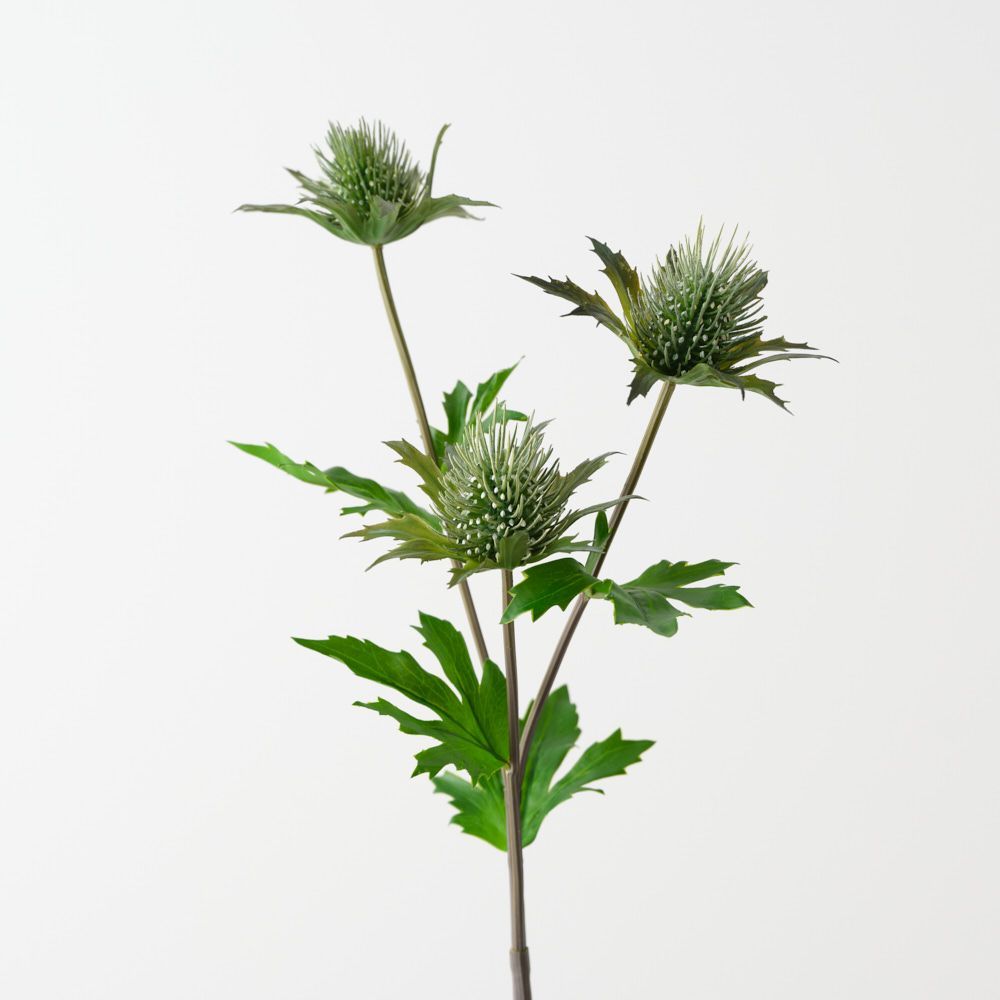 Sea Holly Spray Olive 59cm
