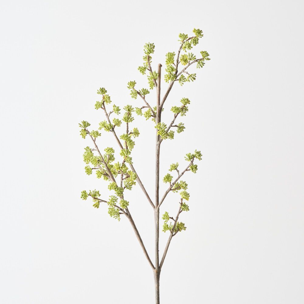 Sedum Spray Green 95cm