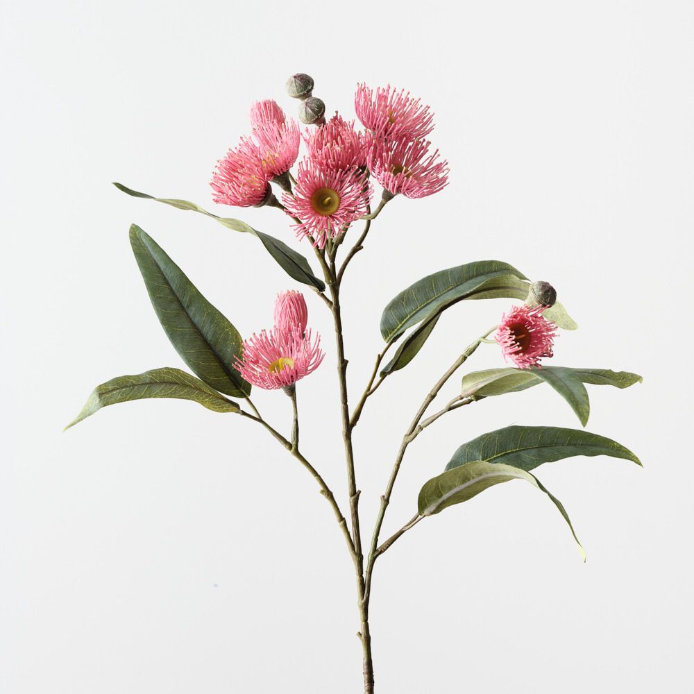 Eucalyptus Flowering Spray Pink 76cm