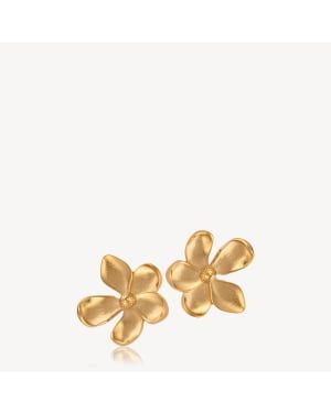 Blumie ørestikker stor