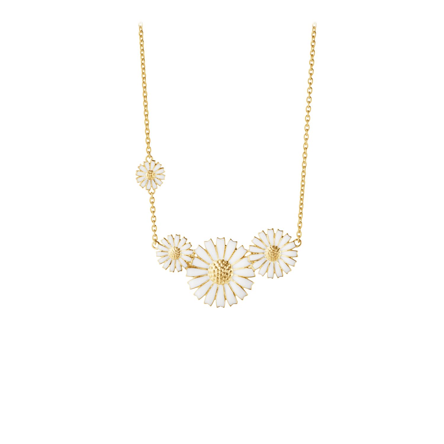Daisy Collier