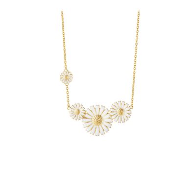 Daisy Collier