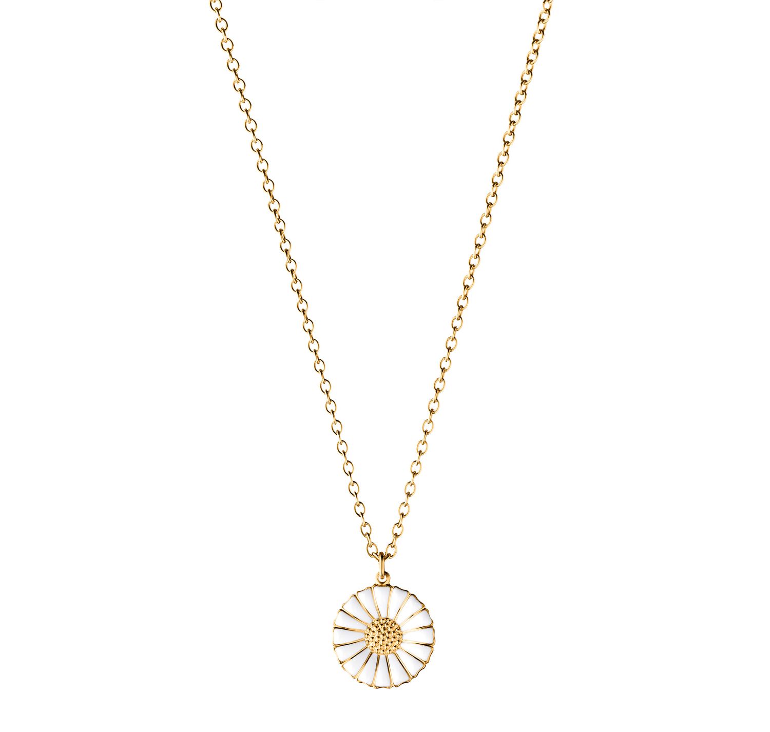 Daisy Vedhæng