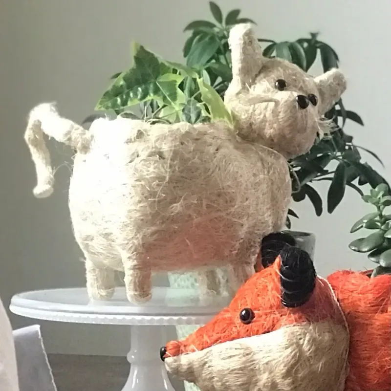 CAT PLANTER
