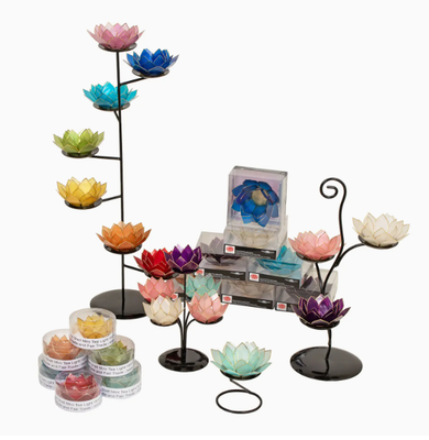 PARADISE LOTUS TLIGHT