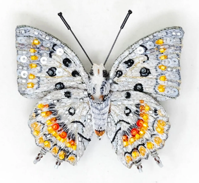 BUTTERFLY/LADYBUG