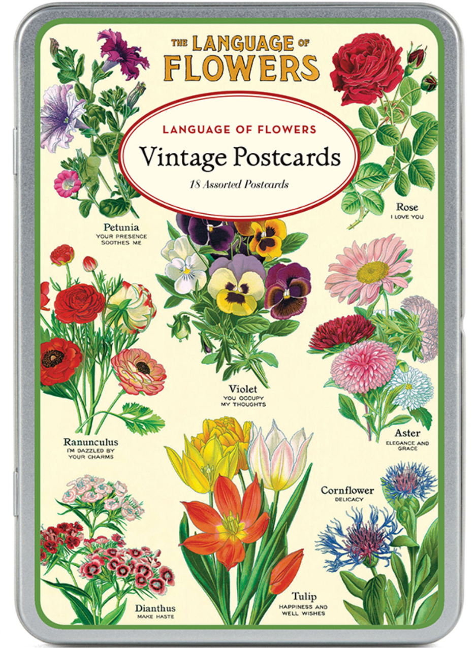 FLOWERS POSTCARD