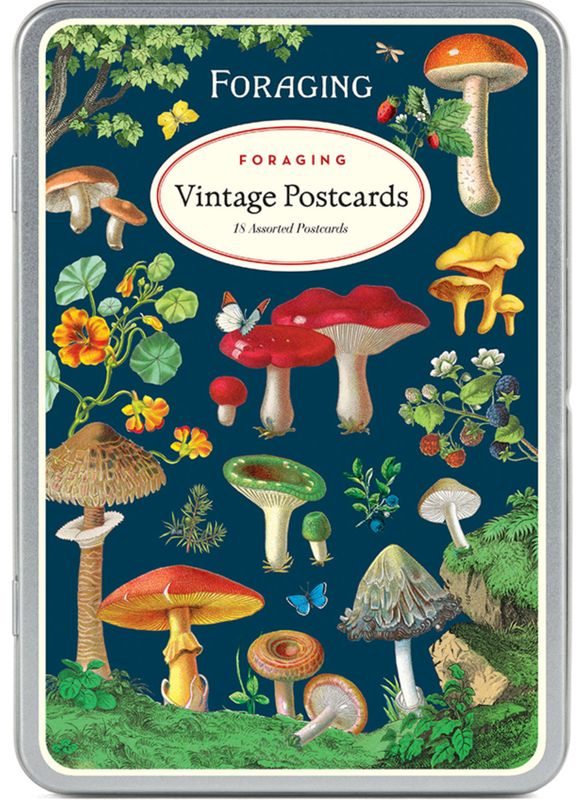FORAGING POSTCARD