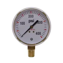 Pressure Gauge – 2.5" Brass, 400 PSI G21