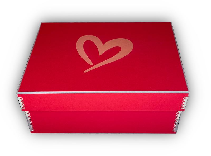 Kartonbox Spezial XS