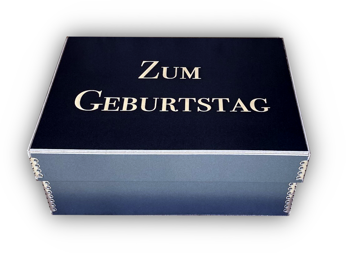 Kartonbox Spezial M