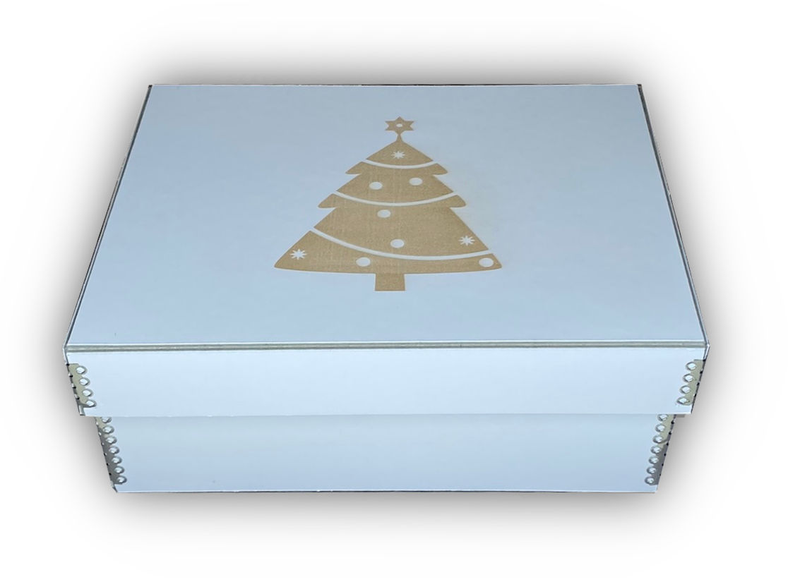 Kartonbox Spezial S
