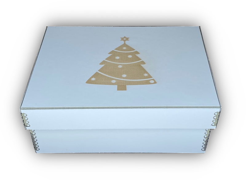 Kartonbox Spezial S
