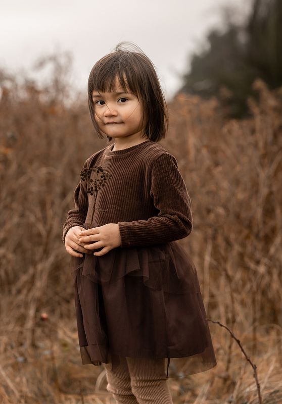 Velvet Tüll Kleid