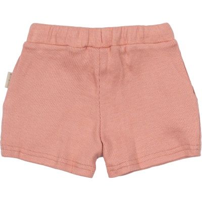 Shorts Modal