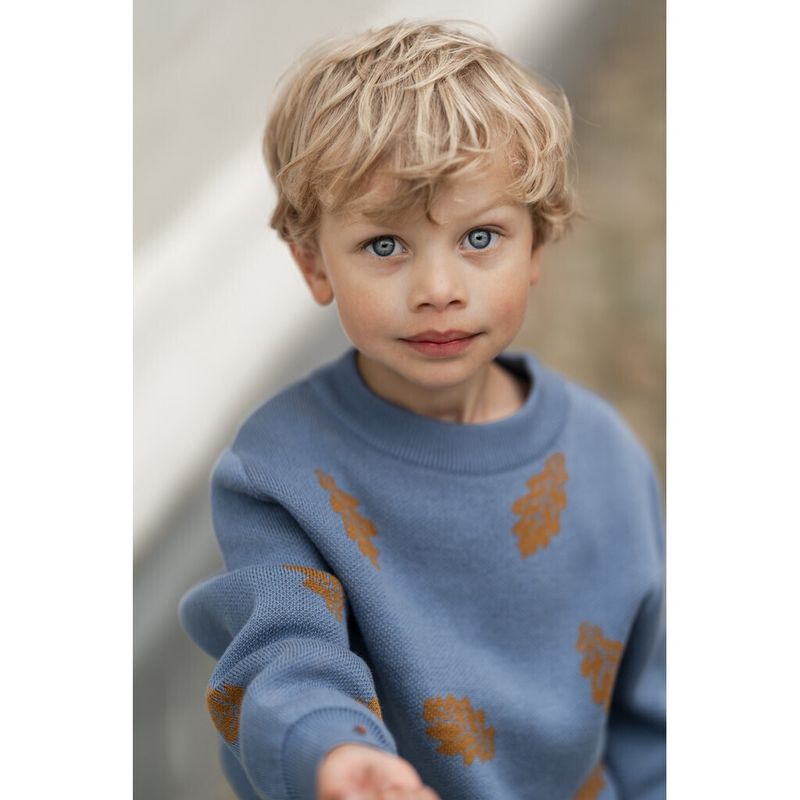 Freddie Pullover