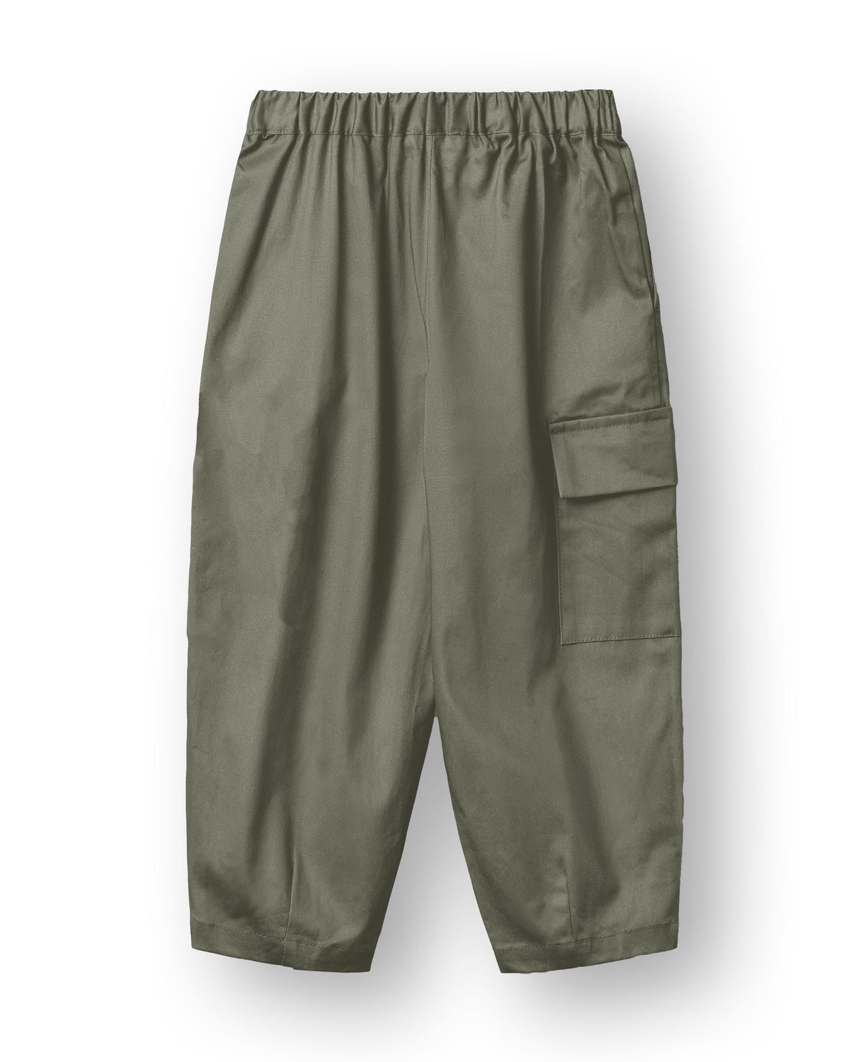 Karl Johan Hose Beetle, Size: 2Y/92