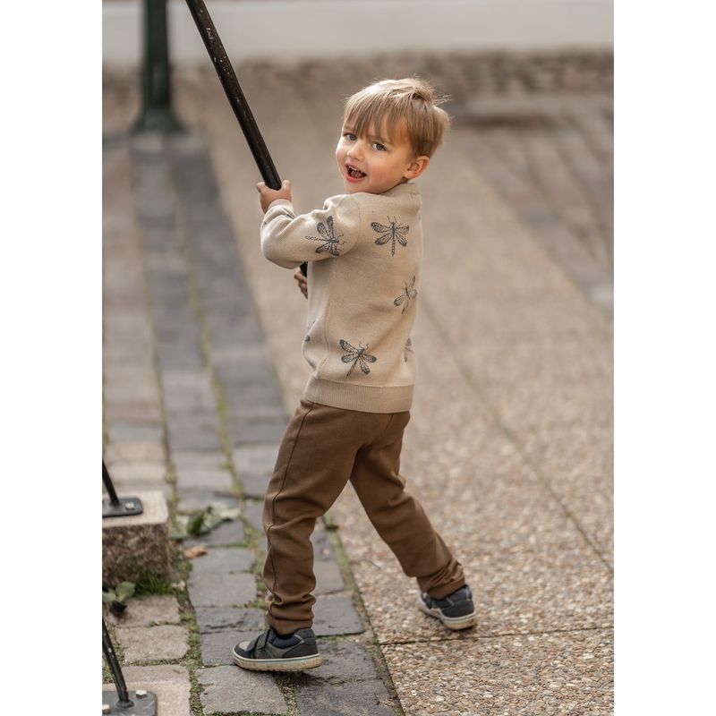 Libellen Pullover